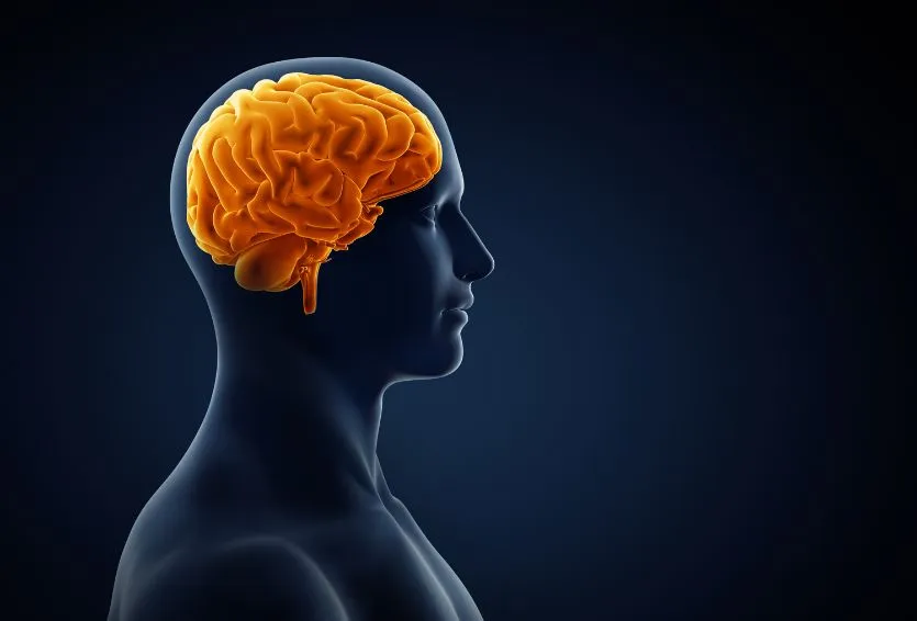 What Are the Risks and Rewards of Awake Craniotomy Procedures?